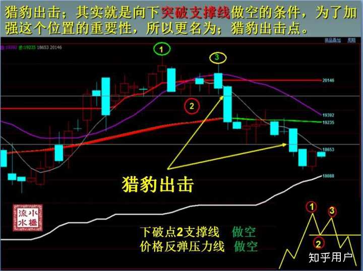 医我看丨周围人“中招”基孔肯雅热？立即就医！做好防蚊！
