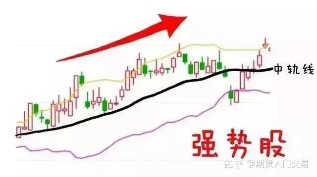 全区医疗保障基金监管集中宣传月活动在我市启动