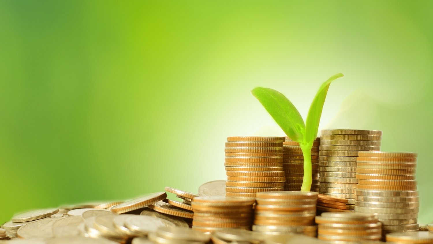 美股动态 | Sweetgreen(SG.US)股价重挫超27% 再次调低2025年业绩预期